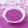 MIYUKI Round Rocailles Beads SEED-X0054-RR0209-1