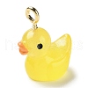 Luminous Opaque Resin Cartoon Pendants CRES-Z004-01D-G-2