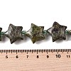 Natural Dragon Blood Beads Strands G-U023-C01-07-5