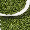 Baking Paint Glass Seed Beads SEED-S001-K9-1