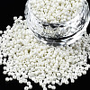 Glass Seed Beads SEED-S060-A-F207-8