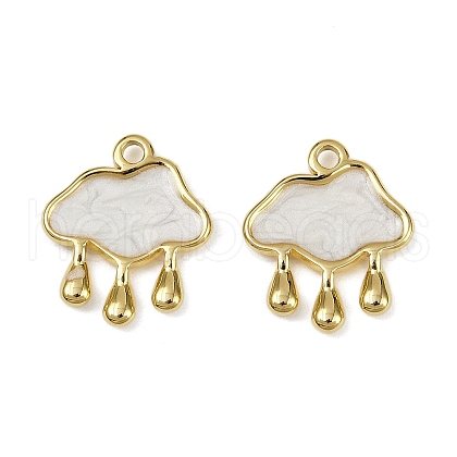 304 Stainless Steel Enamel Pendants STAS-L290-09G-1