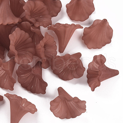 Transparent Acrylic Beads BSF796-C06-1