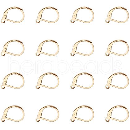 304 Stainless Steel Leverback Earring Findings STAS-PH0018-28G-1