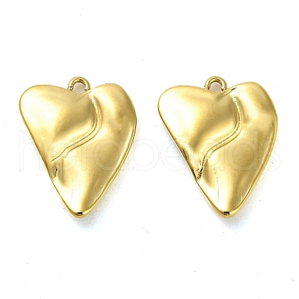 304 Stainless Steel Pendants STAS-L022-108G-01-1