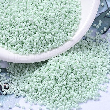 MIYUKI Delica Beads X-SEED-J020-DB1496-1