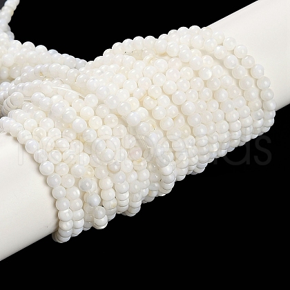 Natural Cultured Freshwater Shell Beads Strands X-BSHE-H109-03A-1