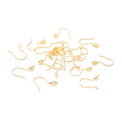 925 Sterling Silver Earring Hooks STER-P047-01B-G-1