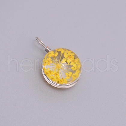 Transparent Glass Pendants GLAA-TAC0003-06E-1