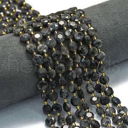 Natural Larvikite Beads Strands G-C116-A30-02-1
