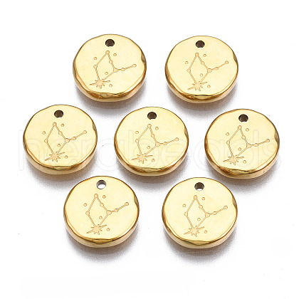 316 Surgical Stainless Steel Charms STAS-S116-418D-G-1