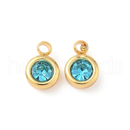 304 Stainless Steel Charms STAS-Z115-01G-18-1