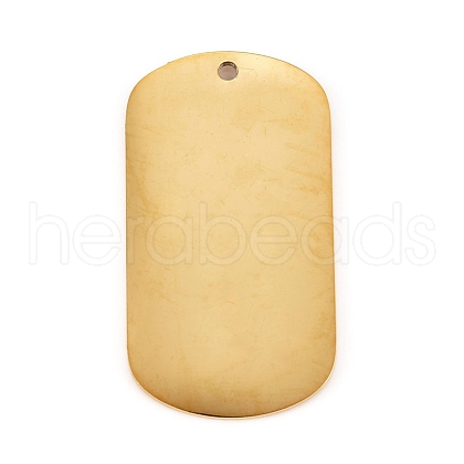 304 Stainless Steel Pendants STAS-L238-103B-G-1