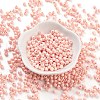 Baking Paint Glass Seed Beads X1-SEED-A032-02P-2
