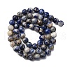 Natural Sodalite Beads Strands G-R015-B01-6mm-3