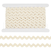 ANATTASOUL 10 Yards Cotton Wave Bending Lace Trim OCOR-AN0001-06-1