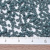 MIYUKI Round Rocailles Beads X-SEED-G007-RR4481-4