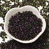 Spray Painted Glass Seed Beads SEED-F005-07A-03-2