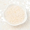 Frosted Glass Beads FGLA-D300-01L-2