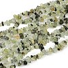 Prehnite Chip Bead Strands G-M205-11-1