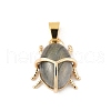 Natural Labradorite Pendants KK-Z107-02G-01-1