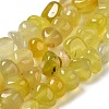 Natural Agate Beads Strands G-H295-B01-04-3