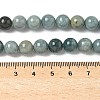 Natural Myanmar Jadeite Beads Strands G-B099-C06-04-2