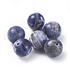 Natural Sodalite Beads G-G782-08-1