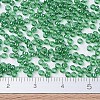 MIYUKI Round Rocailles Beads SEED-G007-RR0173-3