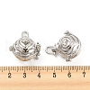 Rack Plating Brass Cage Pendants KK-D050-01P-3