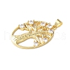 Brass Micro Pave Cubic Zirconia Pendants KK-A252-08G-2