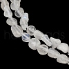 Natural Rainbow Moonstone Beads Strands G-Q060-D12-4