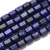 Dyed Natural Lapis Lazuli Beads Strands G-R015-A05-2