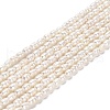 Natural Cultured Freshwater Pearl Beads Strands PEAR-E016-146-1