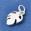 925 Sterling Silver Pendants STER-F059-09S-03-2