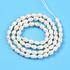 Natural Cultured Freshwater Pearl Beads Strands PEAR-N012-03S-01-3