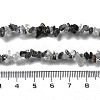Natural Tourmalinated Quartz Chip Beaded Necklaces for Men Women NJEW-G159-01R-5
