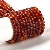 Natural Carnelian Beads Strands G-Q002-C01-02-1