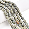 Natural Variscite Beads Strands G-N346-01B-14-1