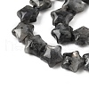 Natural Larvikite Star Beads Strands G-Z080-A03-4