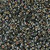 MIYUKI Round Rocailles Beads X-SEED-G007-RR4551-2