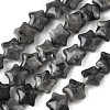 Natural Larvikite Star Beads Strands G-Z080-A03-2