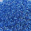 MIYUKI Delica Beads X-SEED-J020-DB0177-3