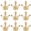 SUNNYCLUE 20Pcs Alloy Pendants FIND-SC0006-39-1