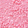 Baking Paint Glass Seed Beads SEED-H002-I-A534-3