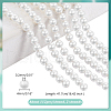 AHADERMAKER 2 Strands Natural White Shell Beads Strands SHEL-GA0001-19B-2
