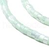 Natural Trochus Shell Dyed Beads Strands BSHE-E030-10A-3