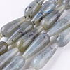 Natural Labradorite Beads Strands G-A175E-B13-1