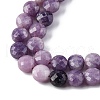 Natural Lepidolite/Purple Mica Stone Beads Strands G-C179-A38-03-4