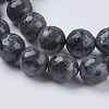 Natural Larvikite Beads Strands X-G-G542-10mm-27-3